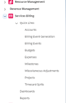 The Global Navigation in the Services Billing worksace.