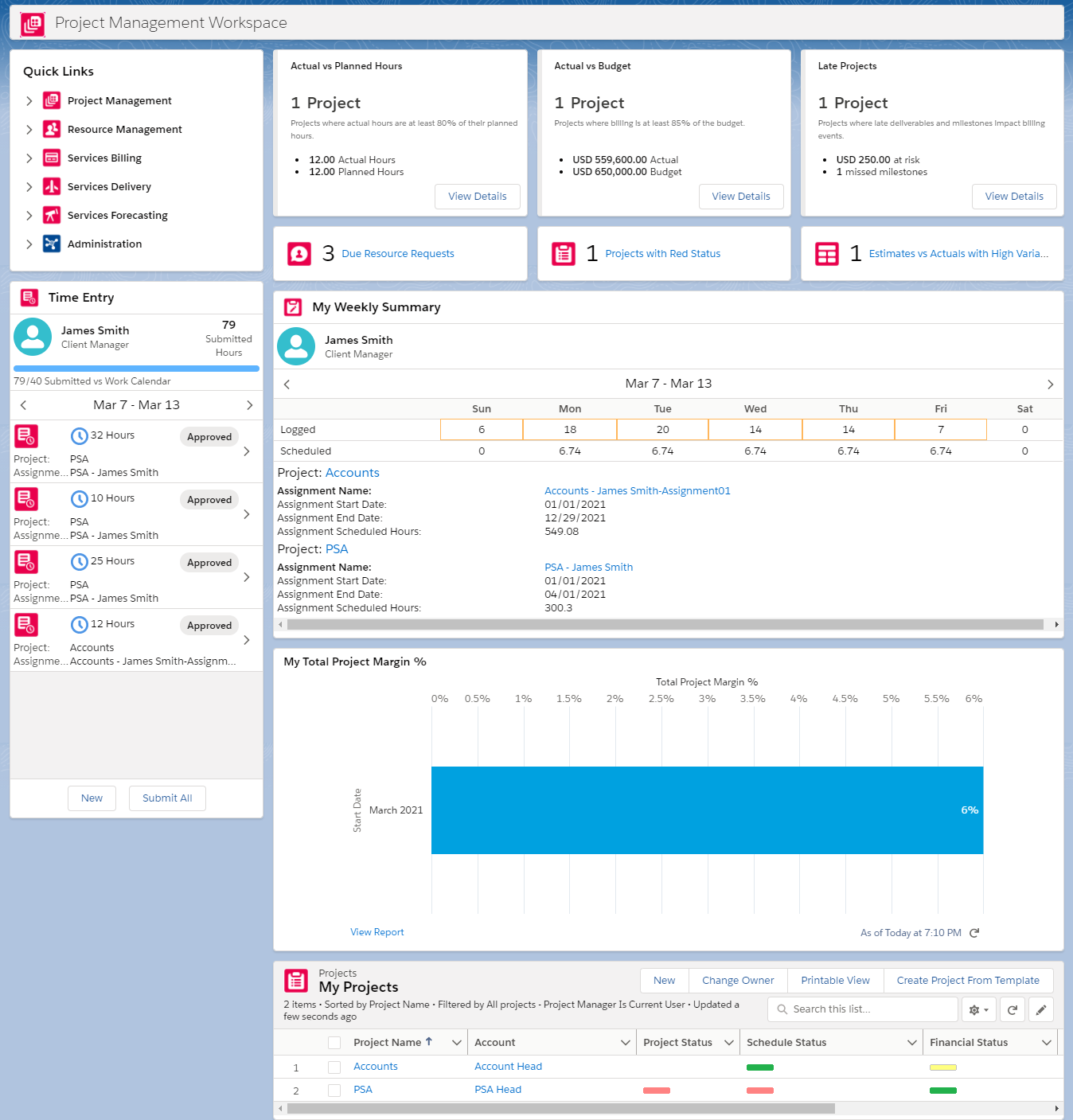 Project Management Workspace Overview Professional Services Automation 0138