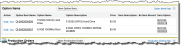 Screenshot showing the Option Items related list.