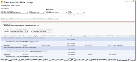 Screenshot showing the Fixed Assets by Relationship Report.