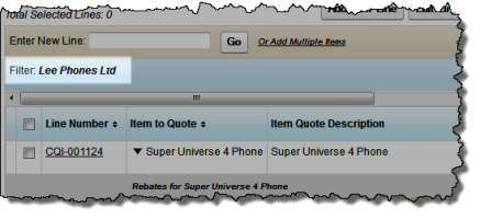 Filters that have been applied are shown on the customer quotation.