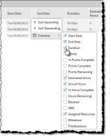 Image: Custom Columns Editing Attributes